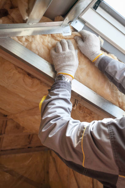 Eco-Friendly or Green Insulation Solutions in Edgewood, TX